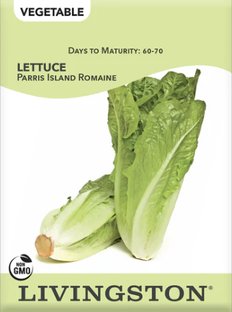 Lettuce Parris Island Romain