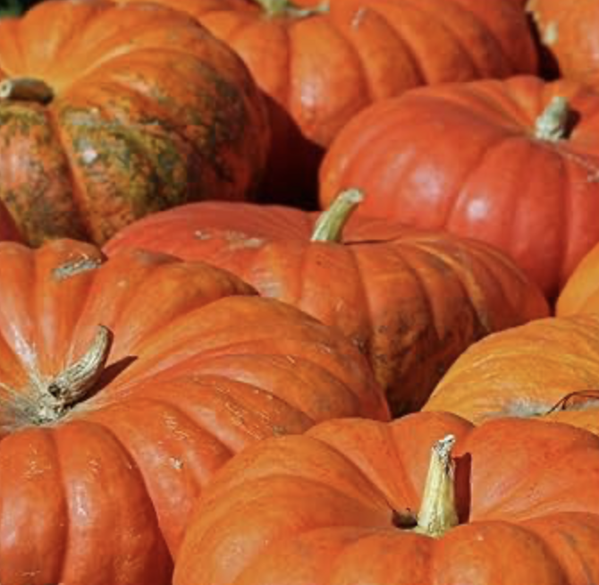 Cinderella Pumpkin