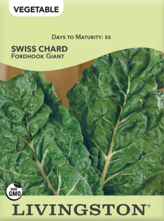 Swiss Chard Fordhook Giant