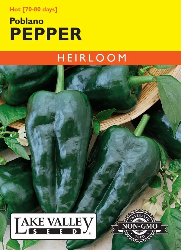 Pepper Poblano Heirloom