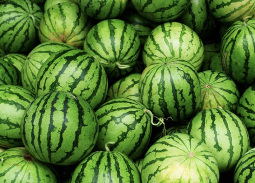 Crimson Sweet Watermelon