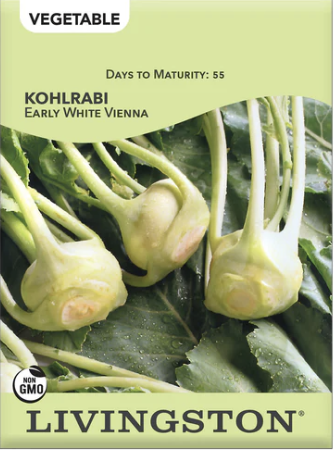 Kohlrabi Early White Vienna