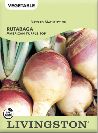 Rutabaga American Purple Top