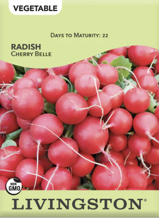 Radish Cherry Belle
