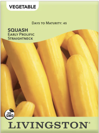 Squash Early Prolific Straightneck