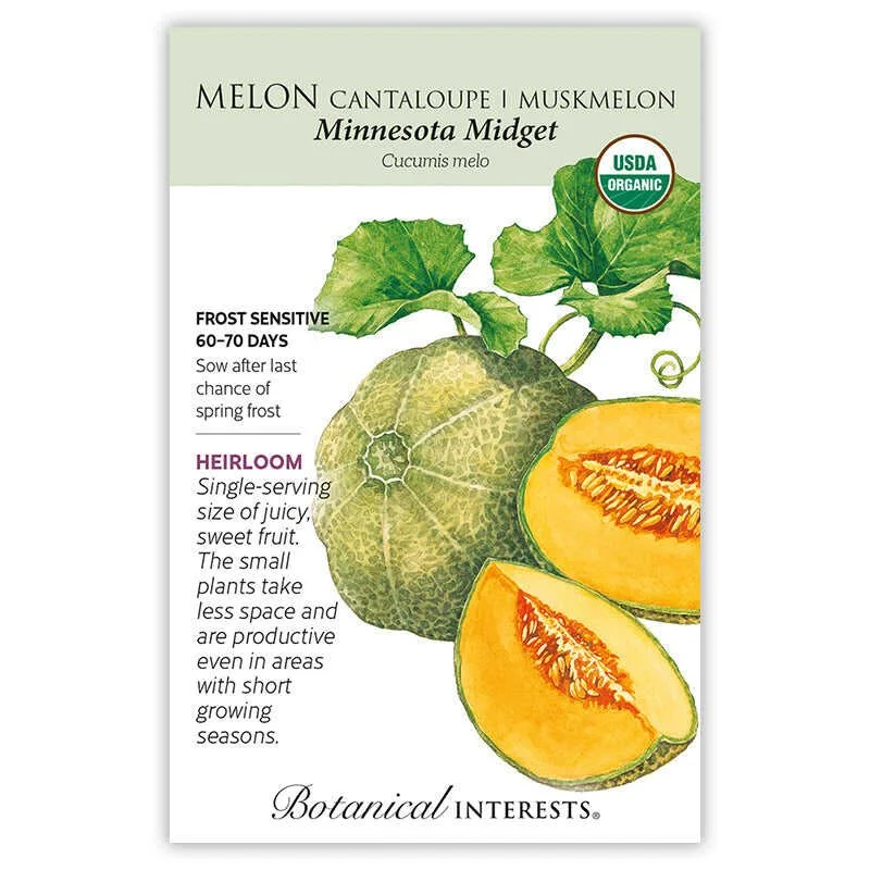 Melon Minnesota Midget