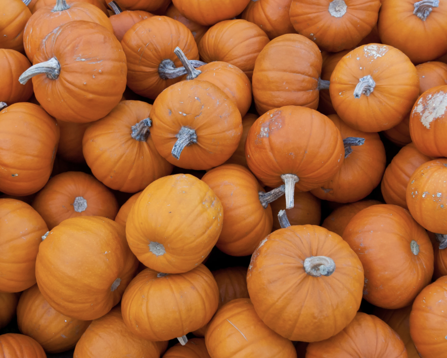 Wee Be Little Pumpkin