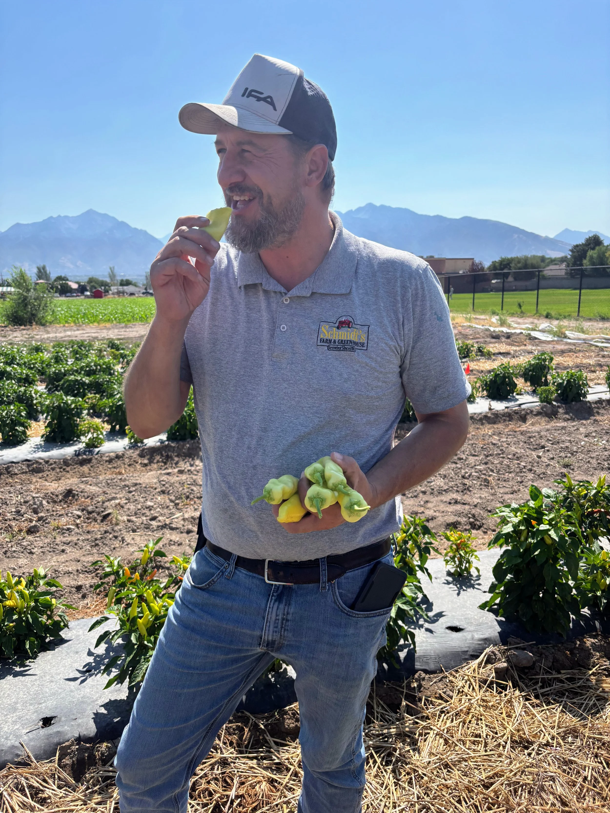 Ryan Schmidt tasting a wax pepper he grew at Schmidt's Farm in West Jordan.