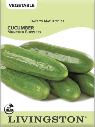 Cucumber Muncher Burpless