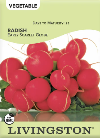 Radish Early Scarlet Globe