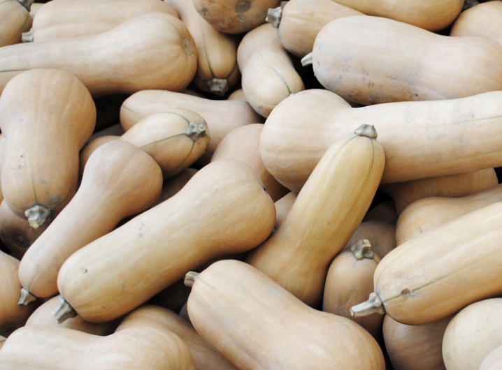 Waltham Butternut Winter Squash
