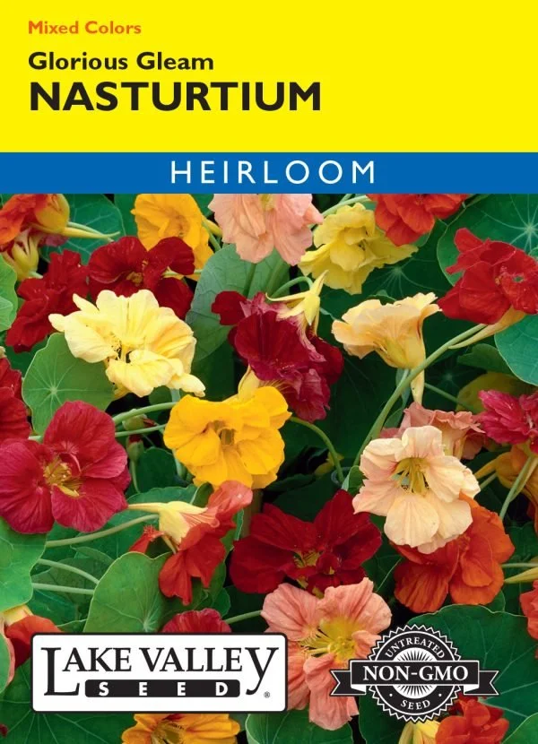Nasturtium Glorious Gleam Heirloom