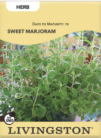 Sweet Marjoram