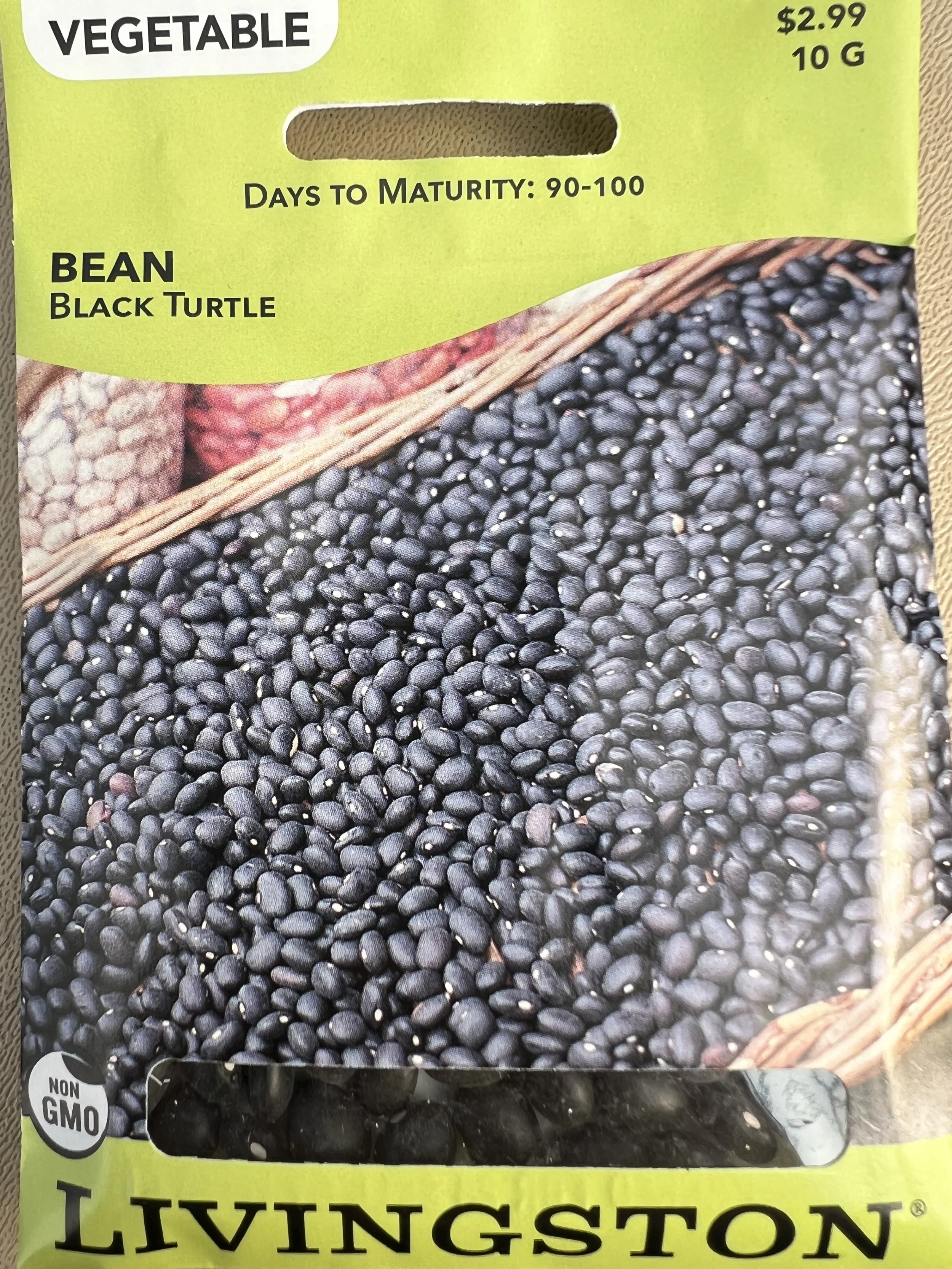 Bean Black Turtle