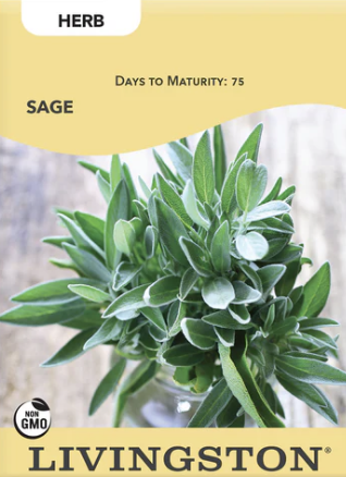 Sage