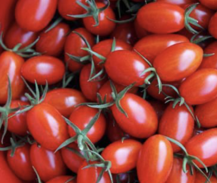 Red Grape Tomato