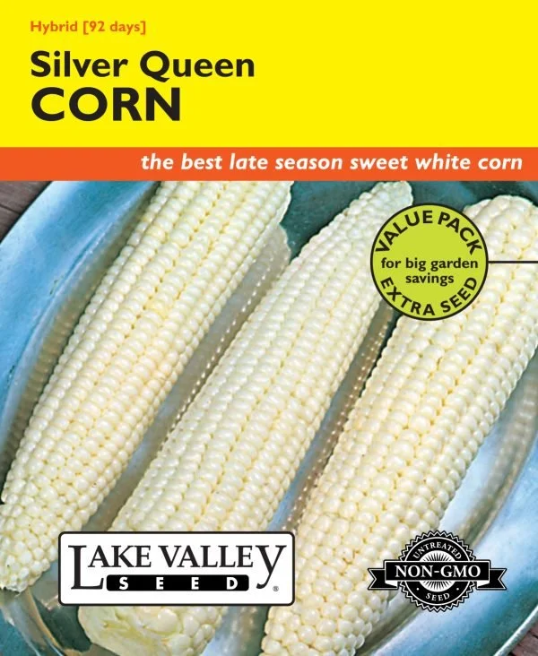 Corn Silver Queen