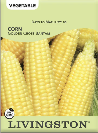 Corn Golden Cross Bantam