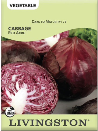 Cabbage Red Acre