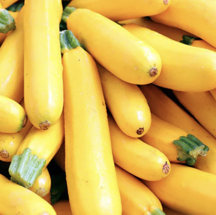 Gold Zucchini