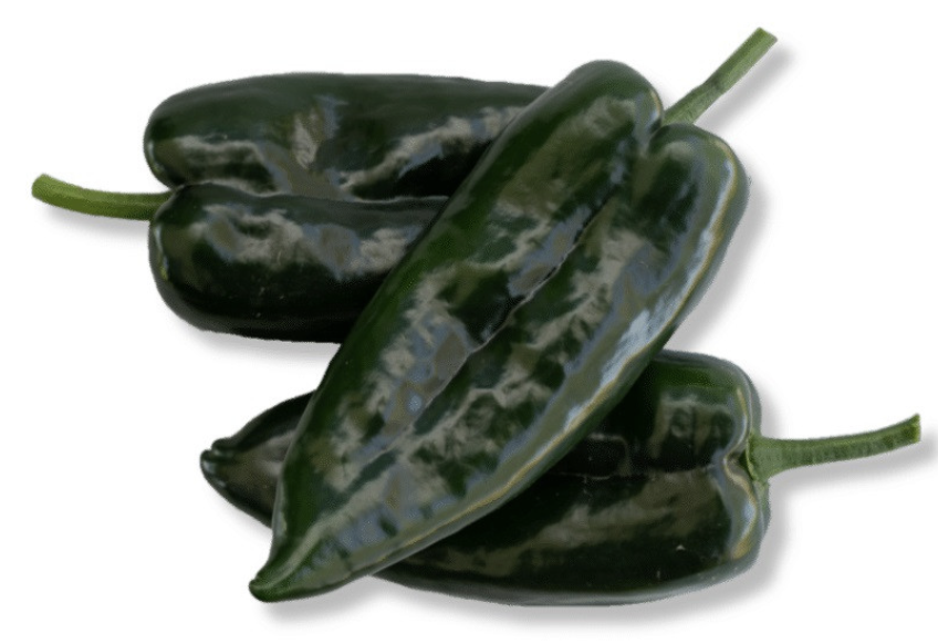 Ancho Ranchero Poblano Pepper