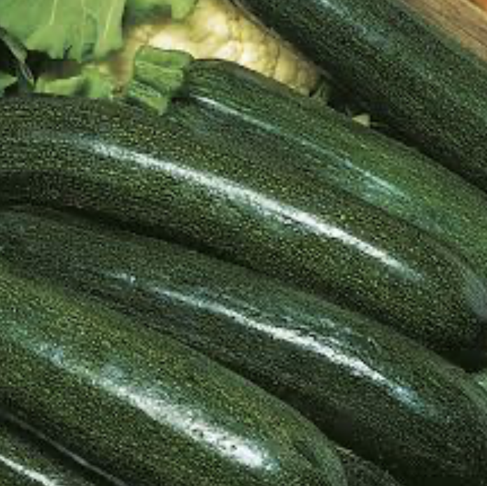 Astia Zucchini