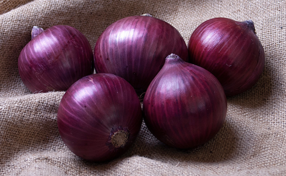 Red Canyon Onion