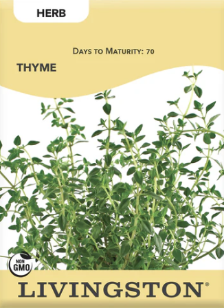 Thyme