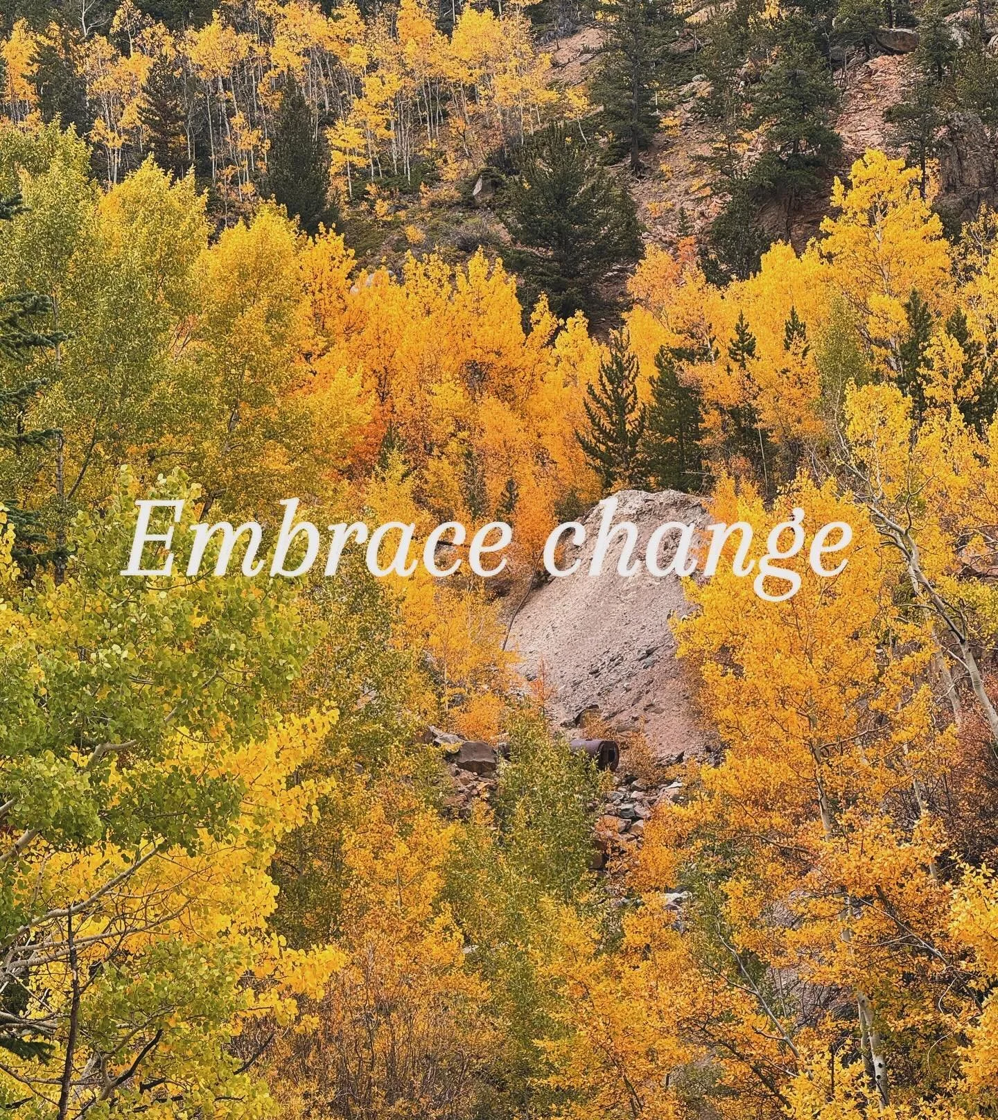 Just like the leaves, we grow by letting go. Embrace the beauty of change and make space for new beginnings. πβ¨ 
#FallVibes #Growth #embracechange