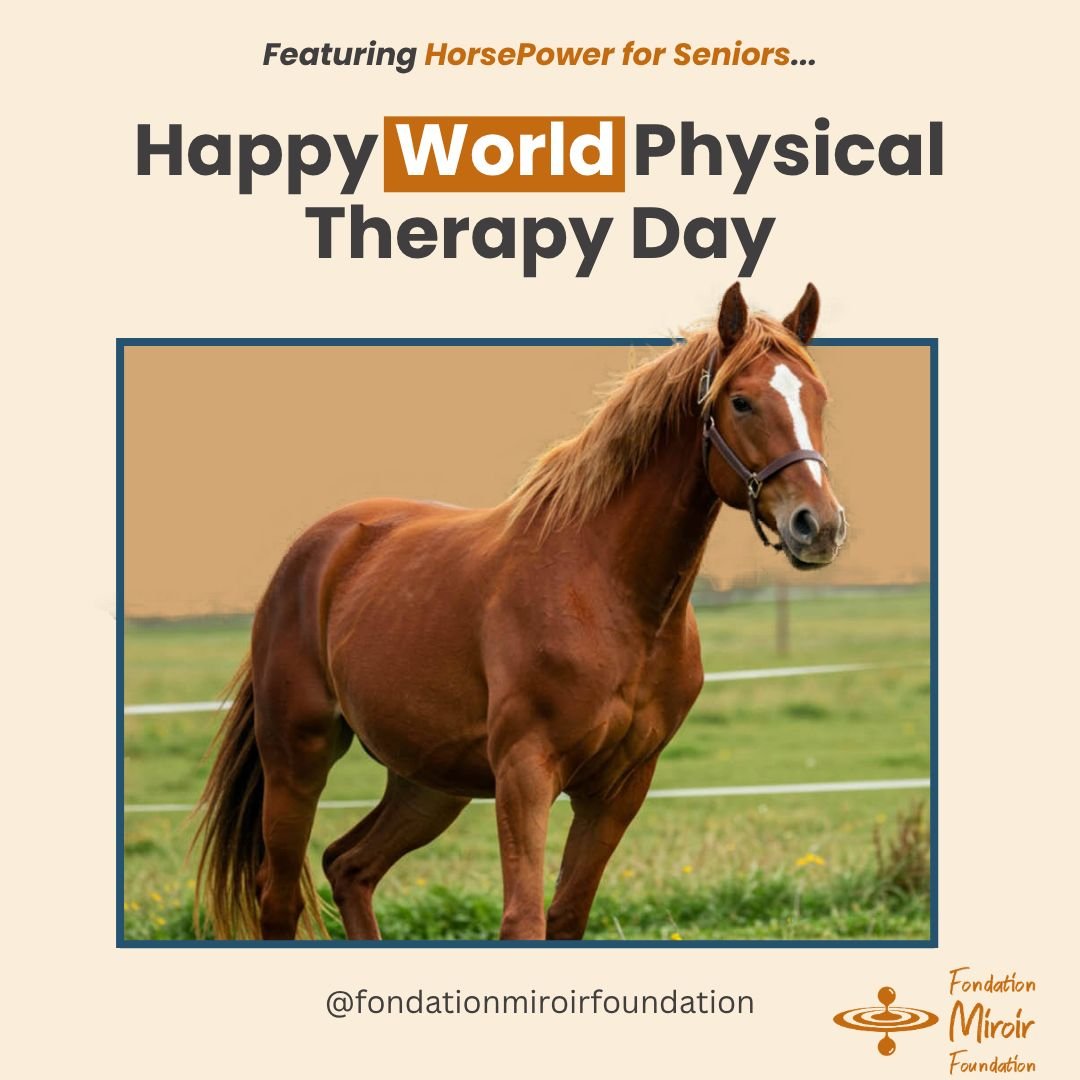 World Physical Therapy Day (September 8th) has us at the @fondationmiroirfoundation  thinking about the ways people rebuild movement, and how not all of them happen in a clinic. 

Through HorsePower for Seniors, delivered by @@trott_riding  in Ottawa