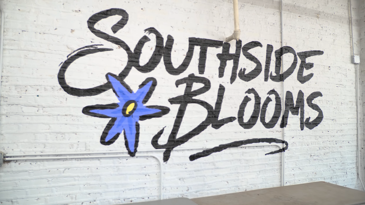 Screen Shot 2024-02-01 at 1.55.01 PM.png