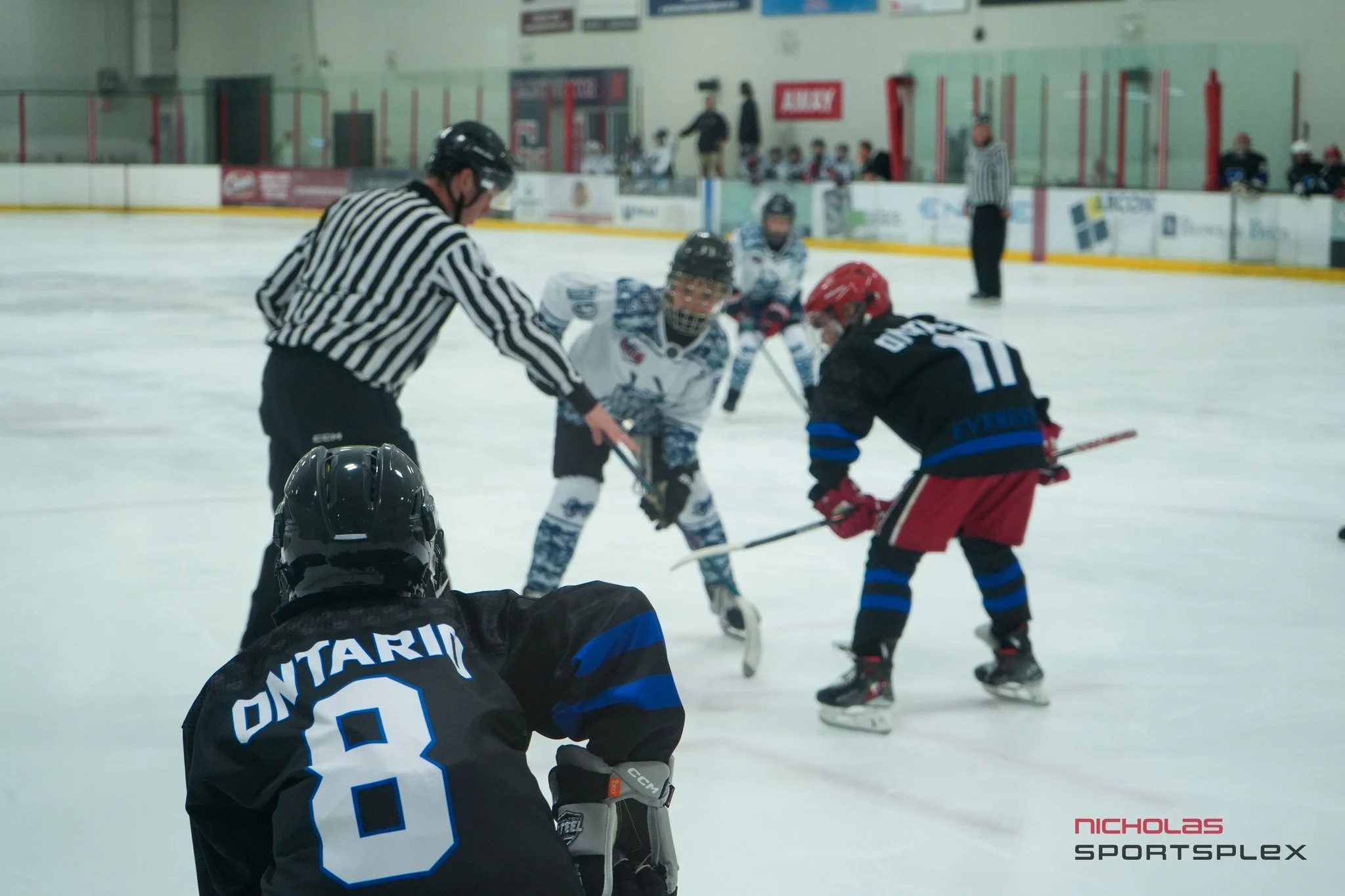 The last week of hockey at the Sportsplex was unmatched! Such a high bar of competition from young talent across the world, including the U.S., Canada, Slovakia, and Finland.
Congratulations to our top 3 teams!
🥇: @theminnesotablades
🥈: @boston_ho