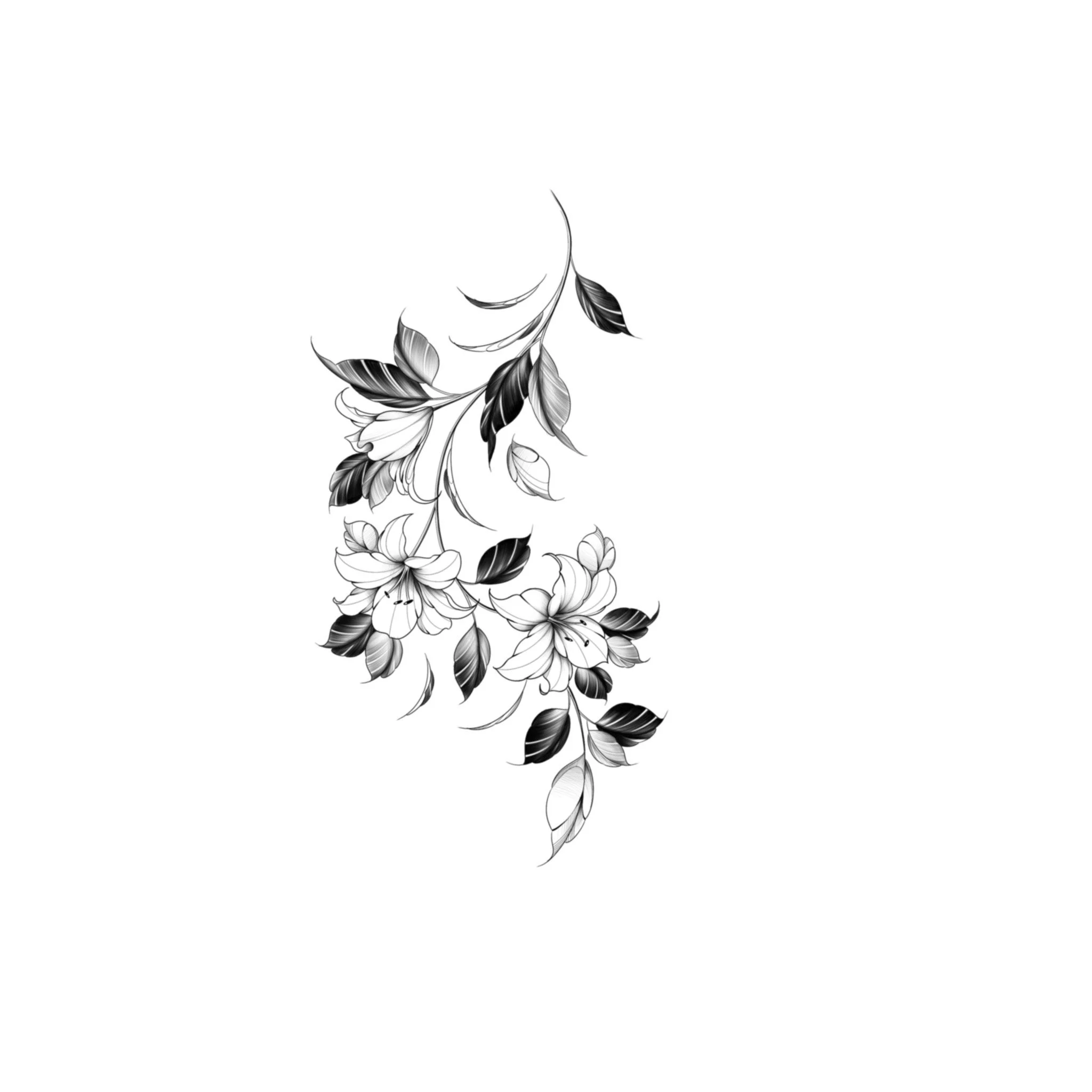 toronto-lily-lilies-tattoo-flash-design.jpeg