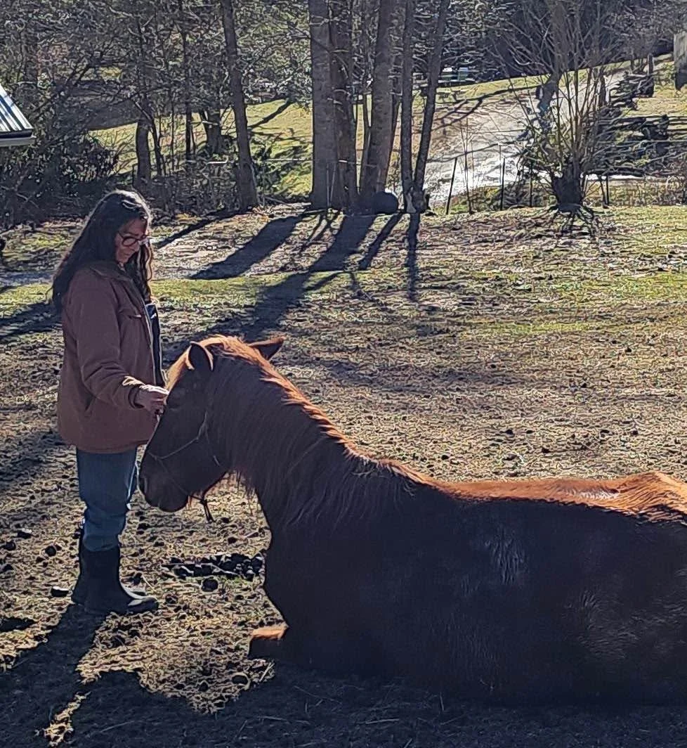 Kyra with her horse Ruby, lying down in the pasture at Two Willows Horse Farm