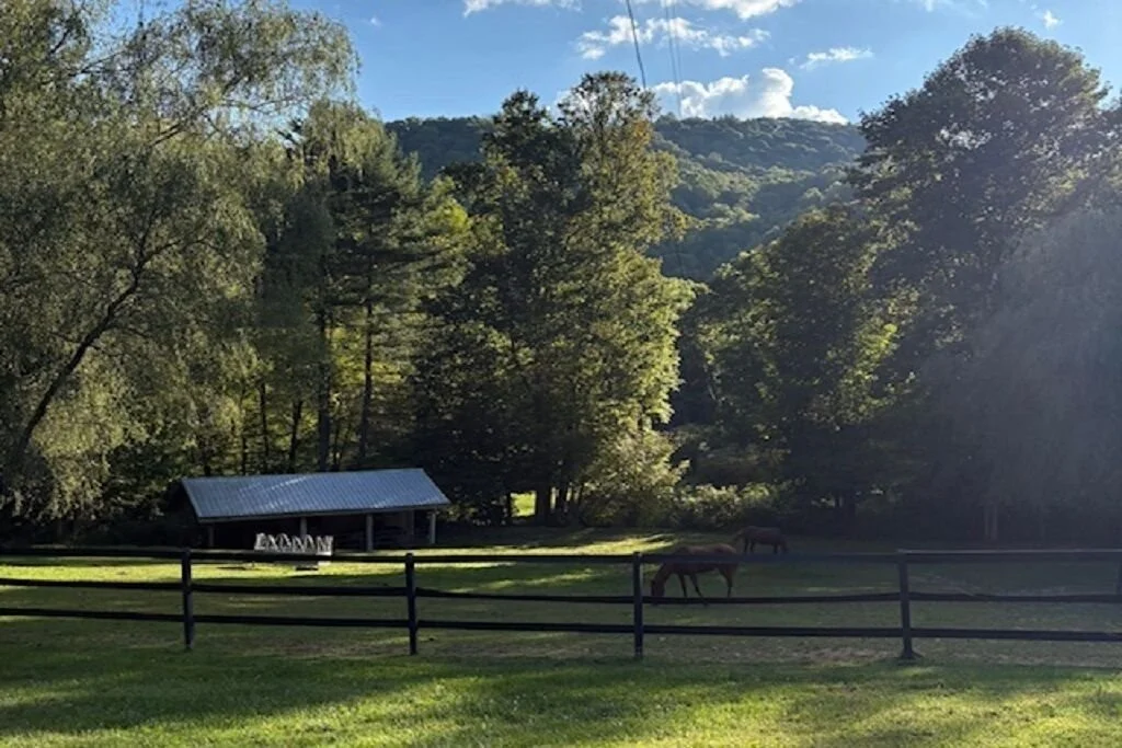 The pasture and run-in shed at Two Willows Horse Farm in morning light