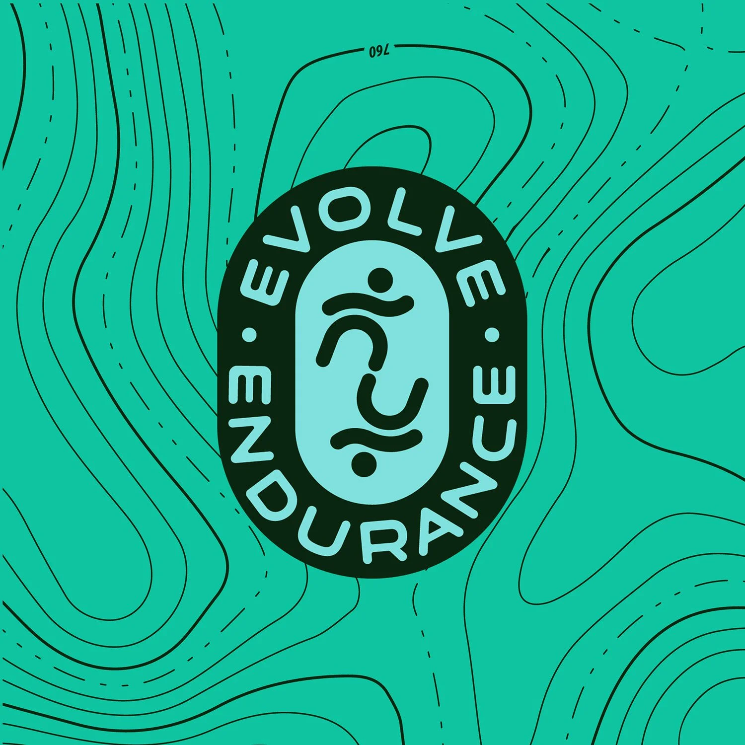 Evolve Endurance Full Brand Identity