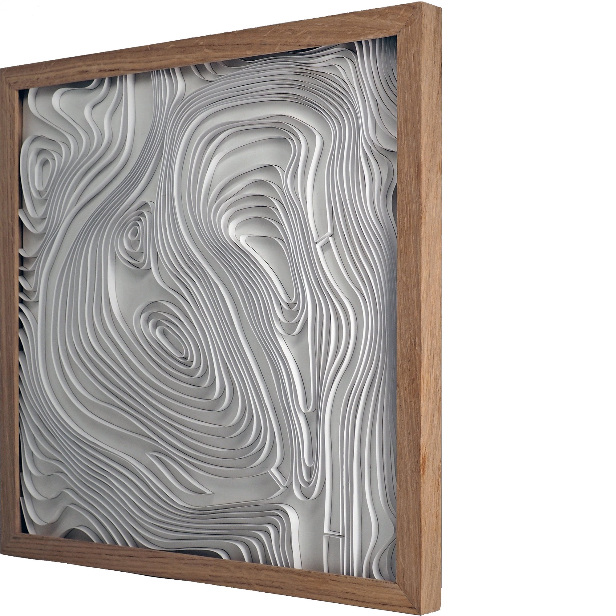 TOPOGRAPHY_SIDE.jpg