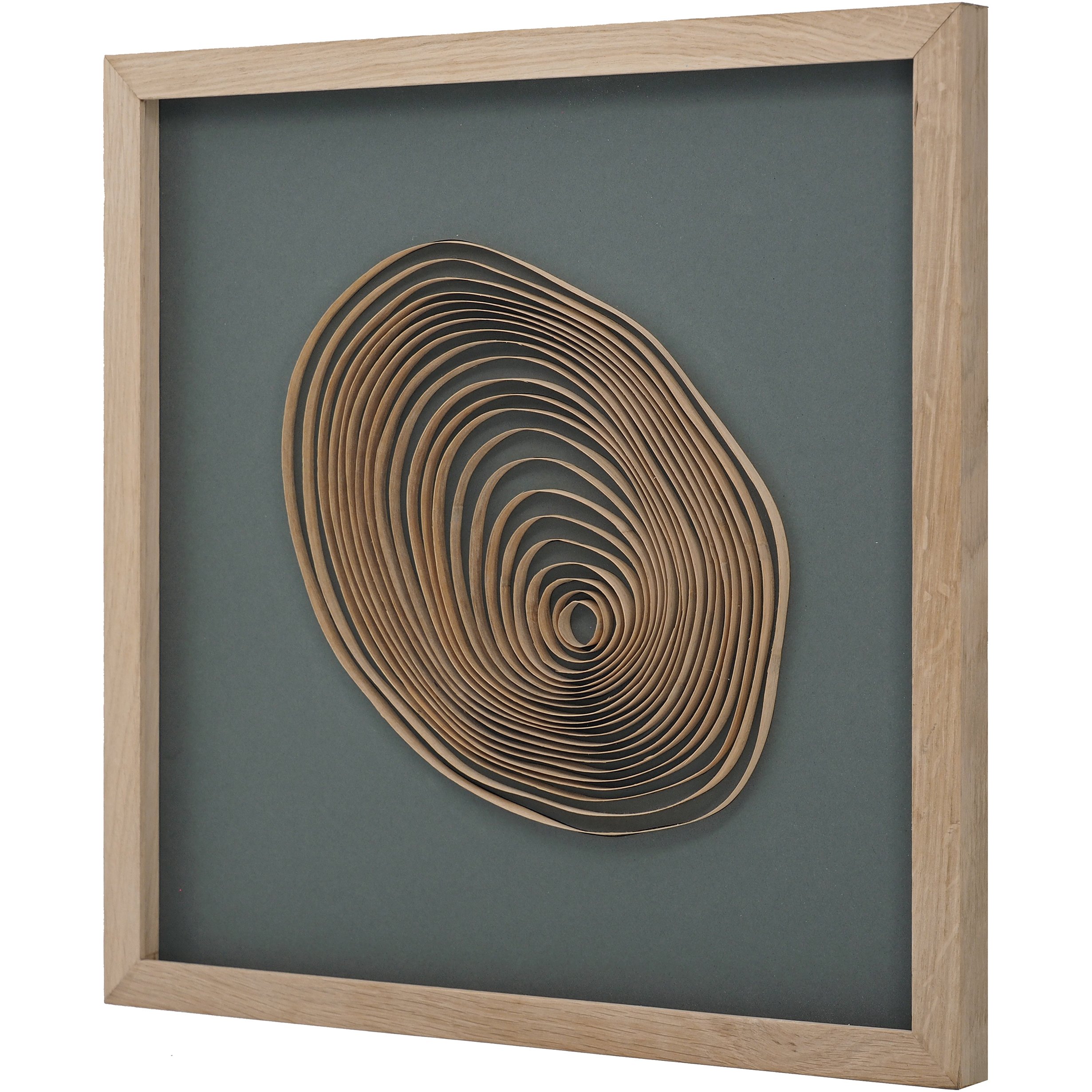 TREE_RING_SIDE_LR.jpg