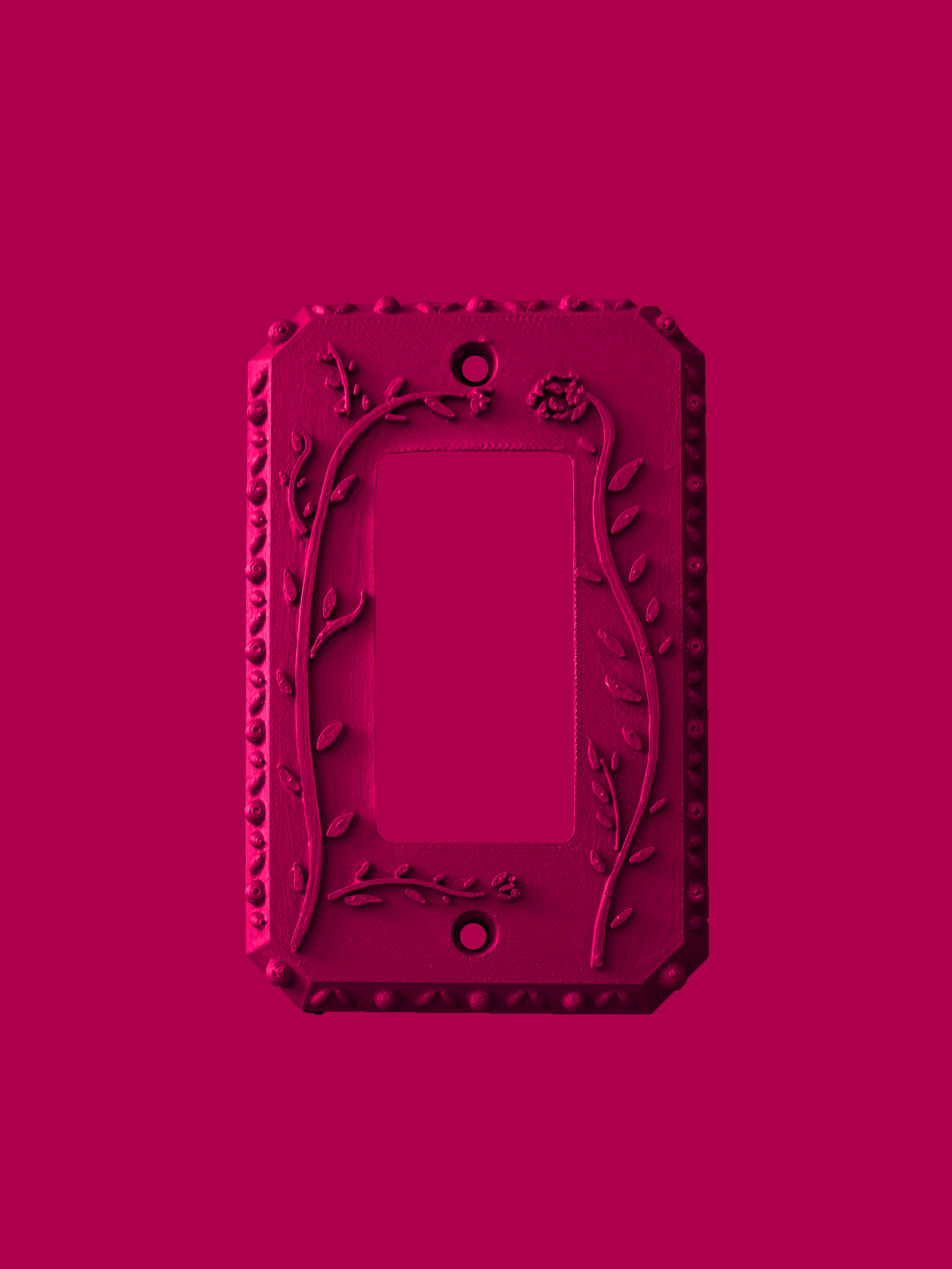 switch moderne rasberry.png