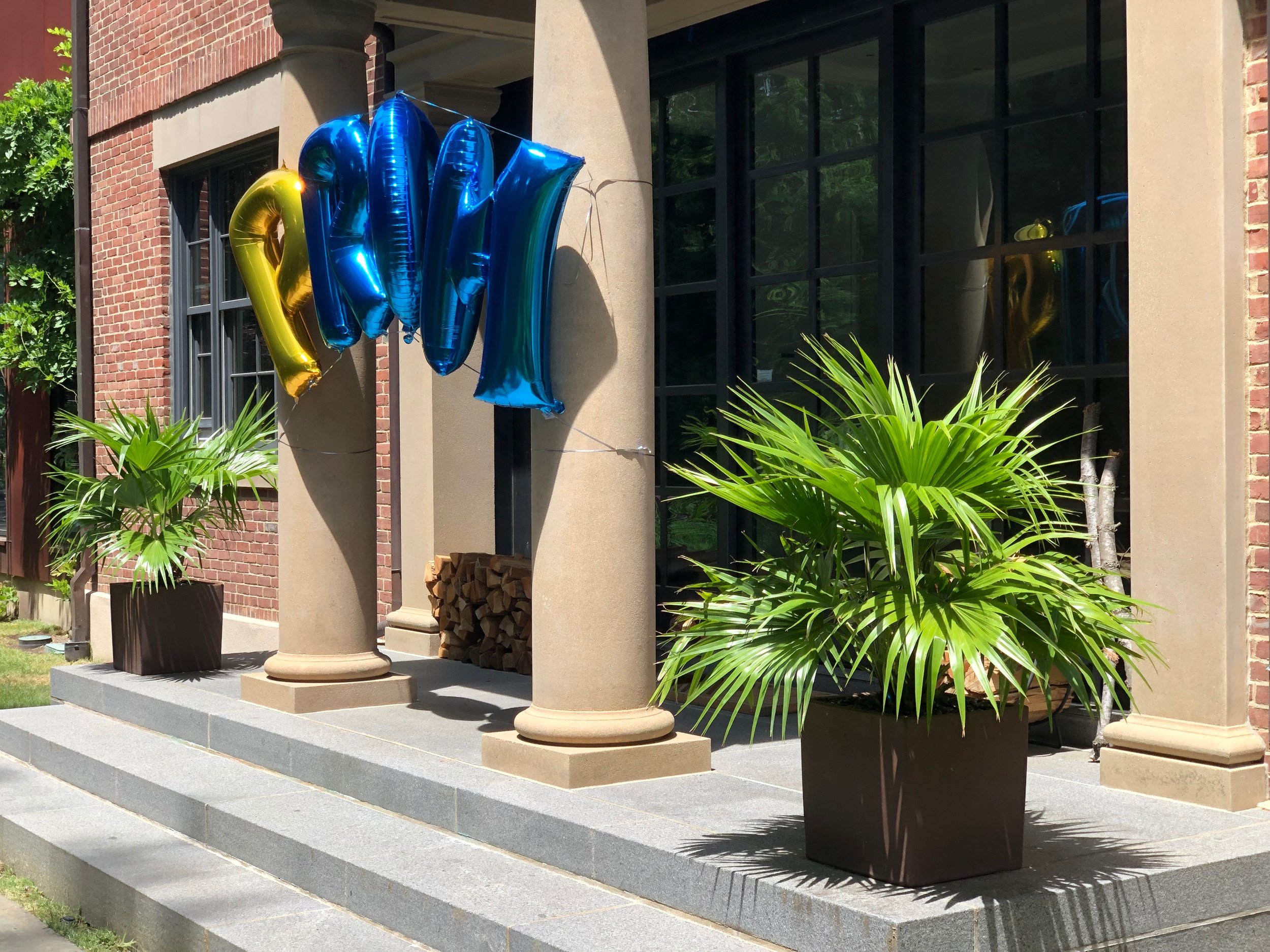 Brizius_Palms_Front_Summer2021.jpeg