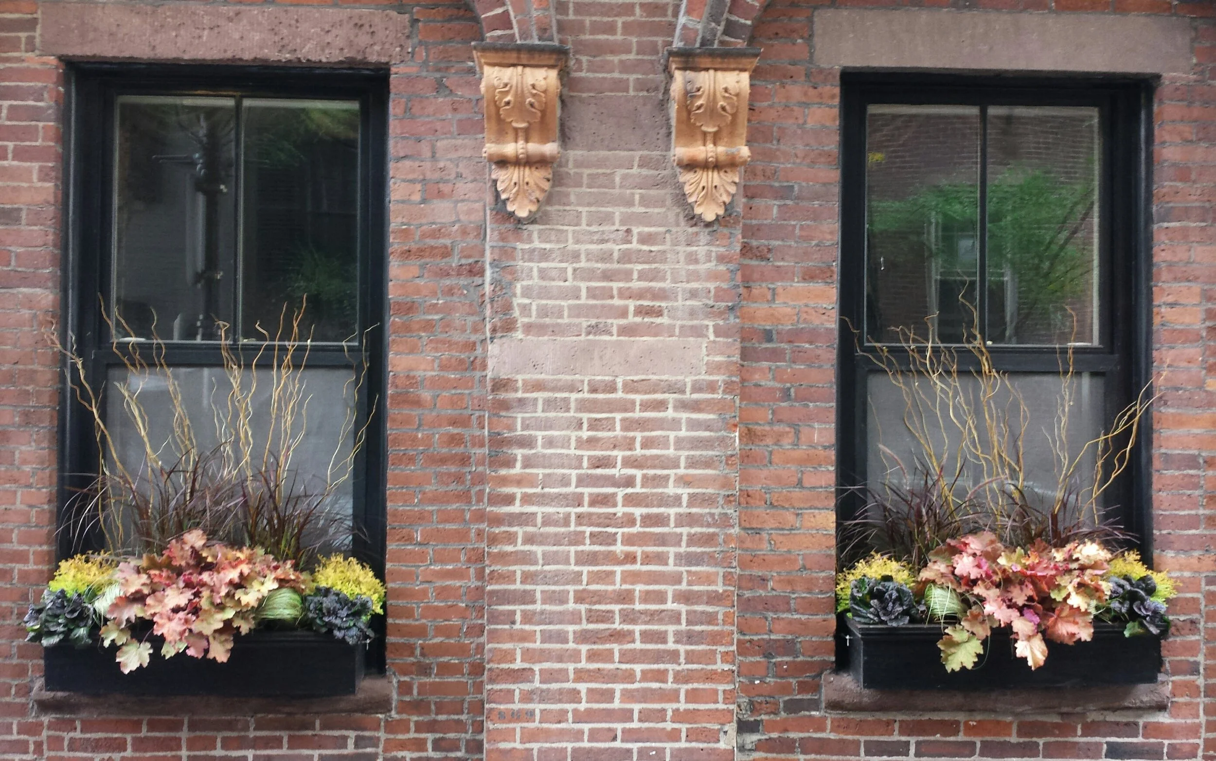 BeaconHillWindowsB.jpg