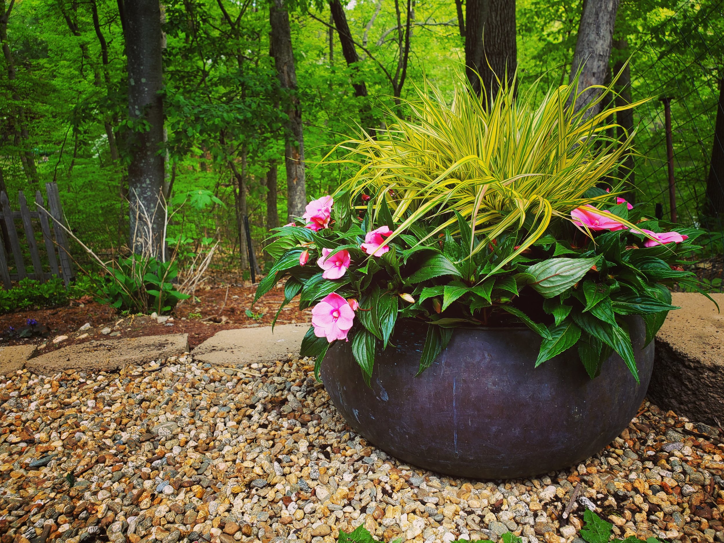 RobitailleSummer2020HosePlanter.jpg