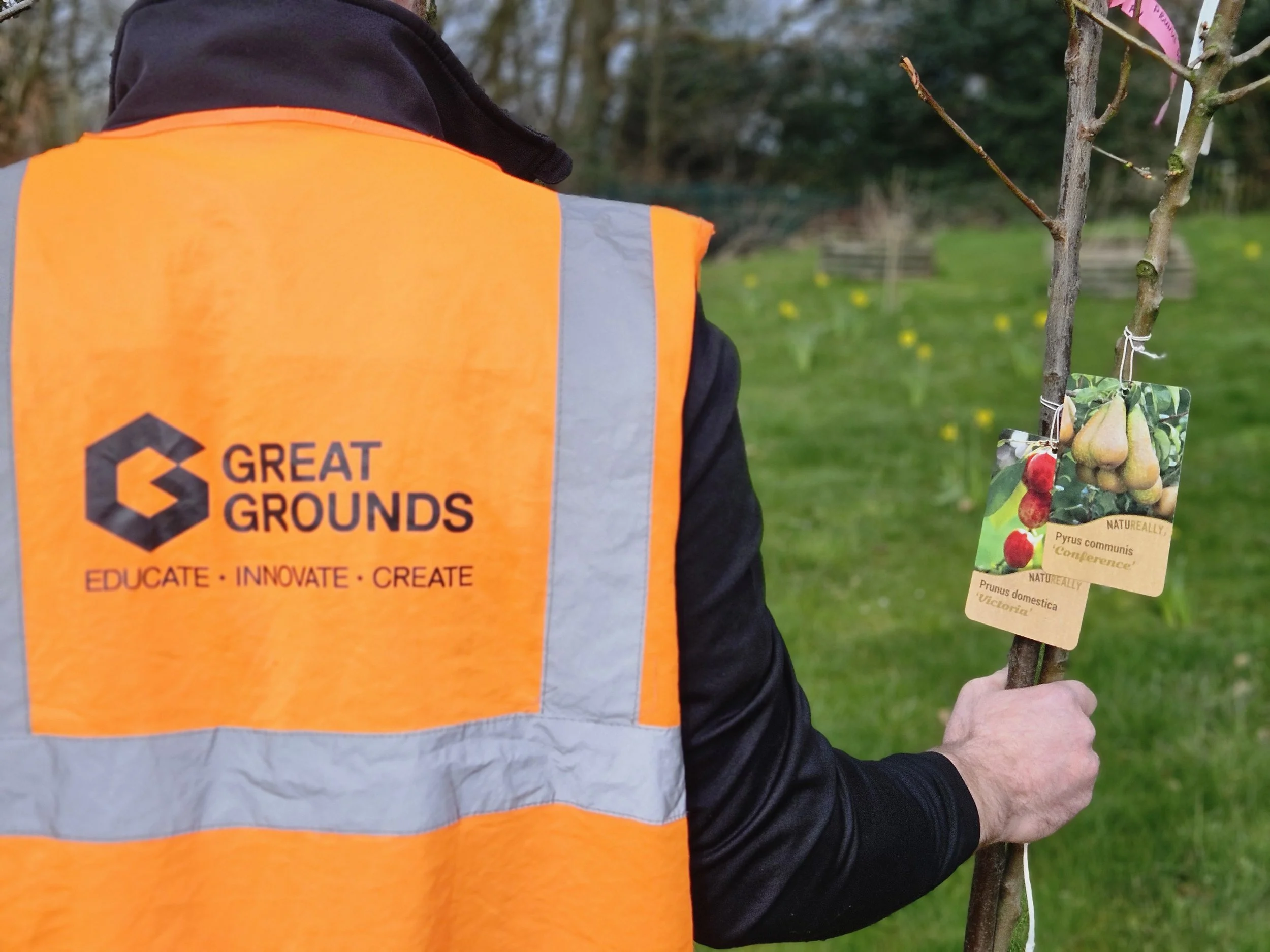 Tiny trees, big futures!