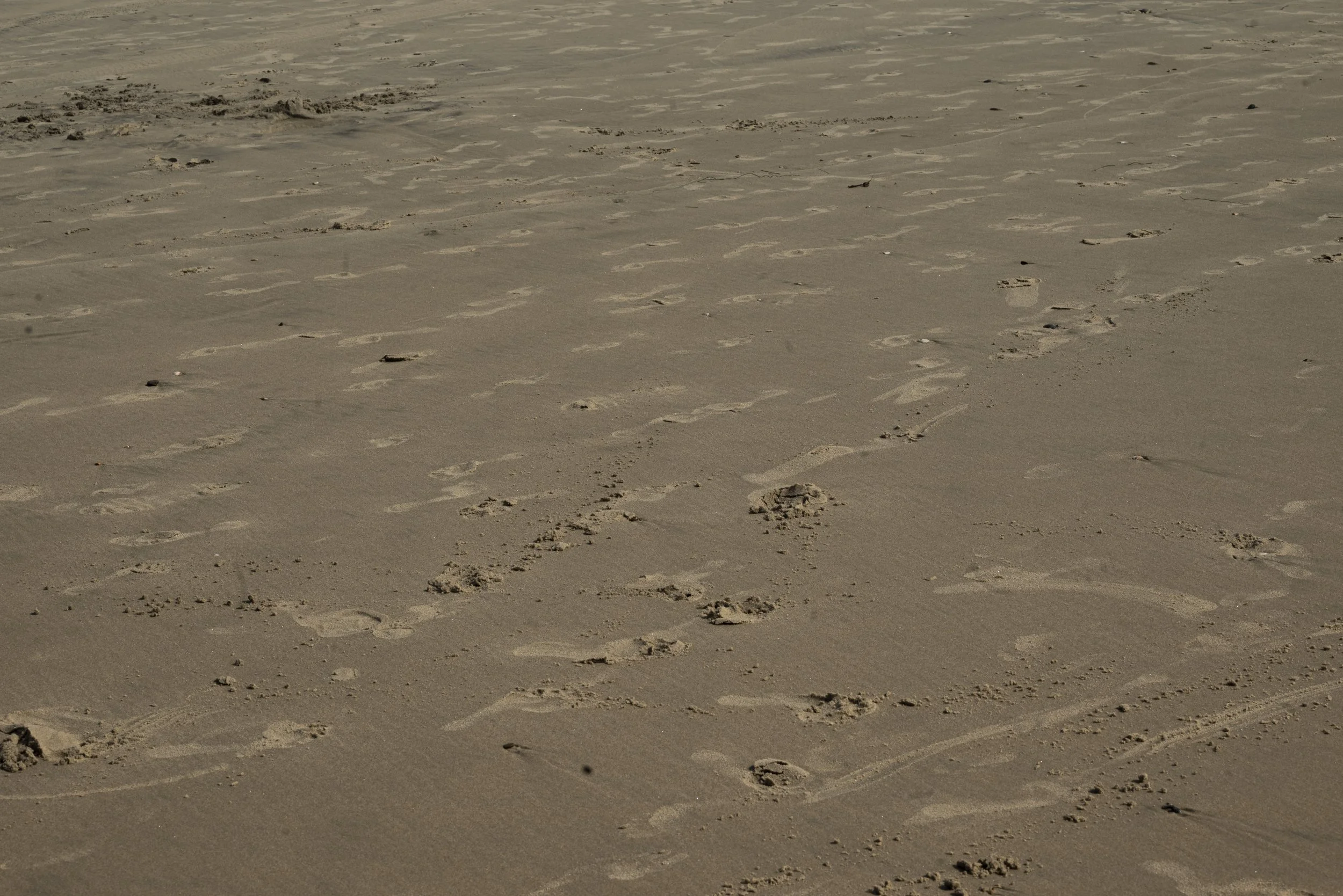 sand-3.jpg