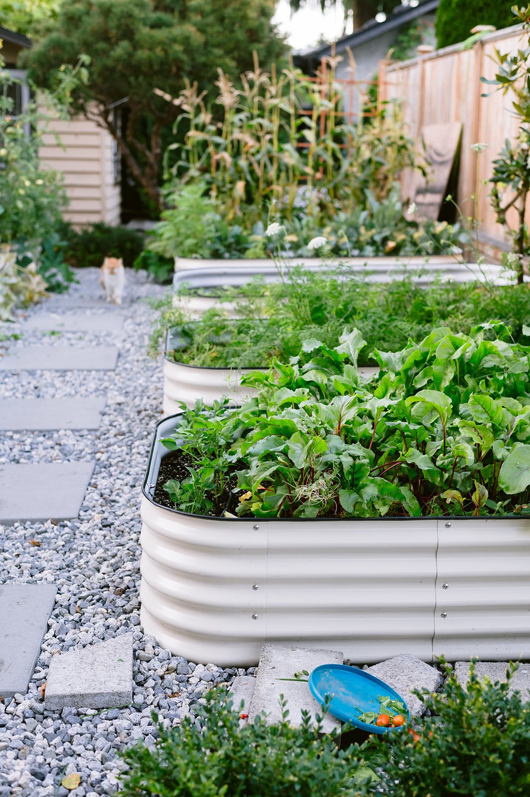 Natlie's Plantalies (Tsawwassen) 71_websize (3).jpg