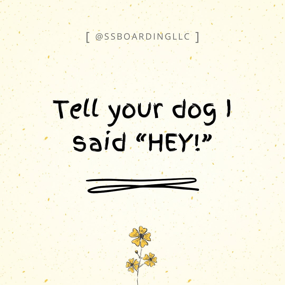 👋 Tell your dog I said &ldquo;HEY!&rdquo;&hellip; and also that I&rsquo;d love to hang out sometime.

📩 Whether it&rsquo;s boarding, training, or just a quick drop-in visit, we&rsquo;re here to help. Send us a message to get started!
.
.

💻 SSBoar