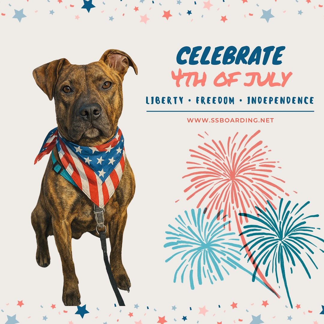 🇺🇸 Happy 4th of July!

🎆 Remember to plan accordingly for your doggo&rsquo;s meal time and potty breaks if they have noise sensitivities. 

💕 Sending calm vibes to all our canine friends and their guardians!
.
.

💻 SSBoarding.net
Dog Boarding | 