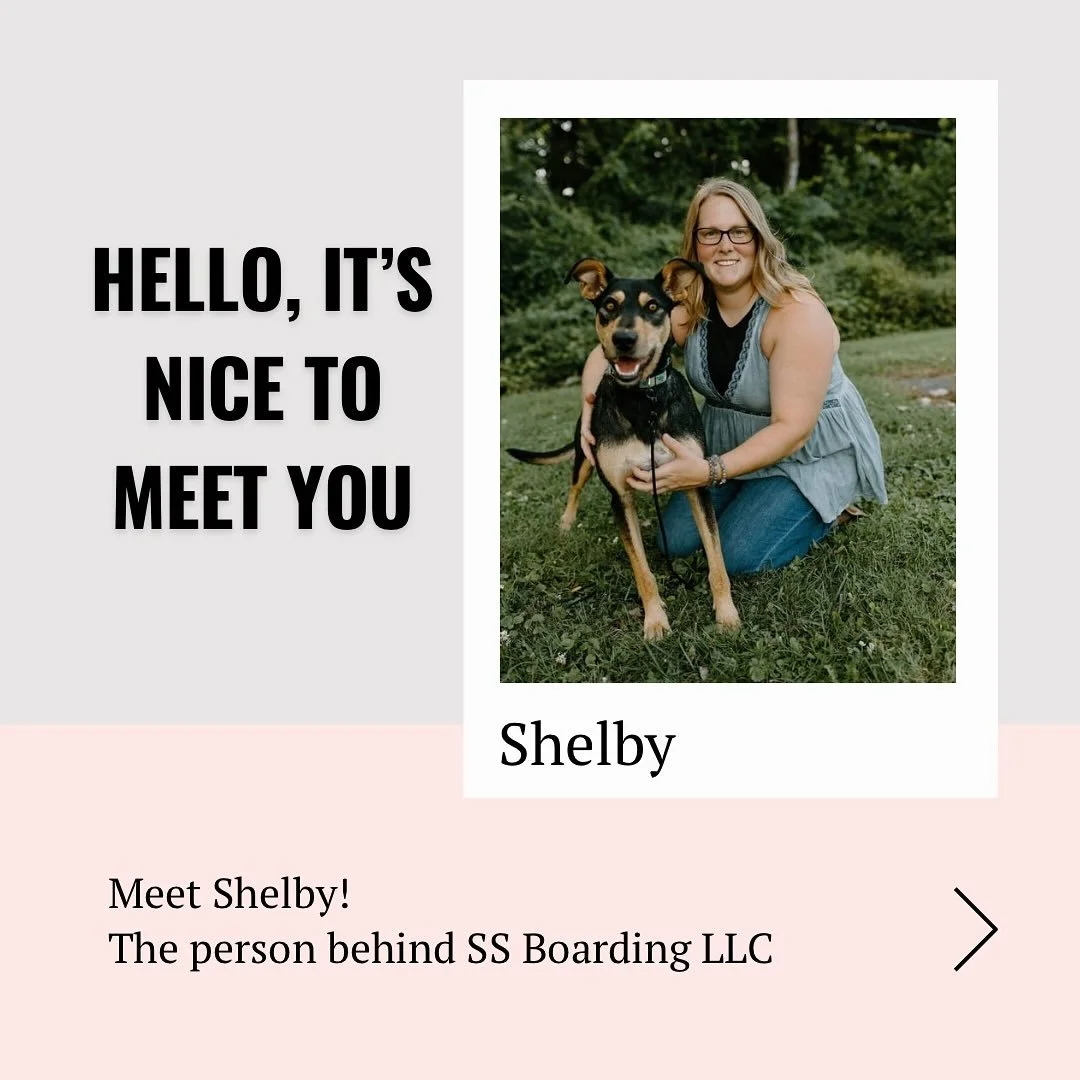 👋 Hi, I&rsquo;m Shelby!&hellip;

&hearts;️ If you&rsquo;re looking for a place that loves your dog like you do - welcome, you&rsquo;ve found it.
.
.

💻 SSBoarding.net
Dog Boarding | Dog Training | Pet Sitting
.
.
.
#indianadogtraining #petdogtraini