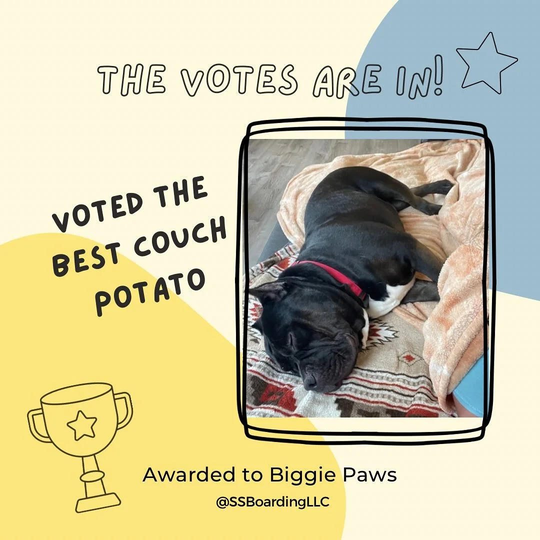 🥁 AND NOW presenting this week&rsquo;s MVP (most valuable pup) superlatives!&hellip;
.

💻 SSBoarding.net
Dog Boarding | Dog Training | Pet Sitting
.
.
.
#indianadogtraining #petdogtraining #dogtraining  #indianapetsitting #professionalpetsitter #do