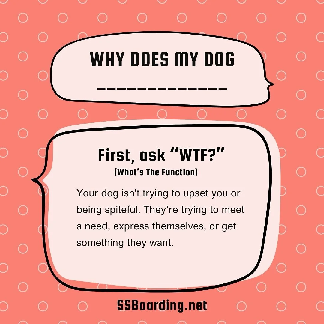 🤔 Is your dog &lsquo;acting out&rsquo;? Or are they telling you something? 

👀 Before you get frustrated, ask yourself&hellip; WTF (What&rsquo;s The Function)?
.
.

💻 SSBoarding.net
Dog Boarding | Dog Training | Pet Sitting
.
.
.
#indianadogtraini
